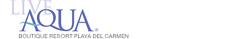 Live Aqua Boutique Resort Playa del Carmen